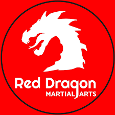 Image result for Red Dragon Taekwondo club