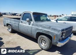 Image result for Silver Blue 1975 Chevrolet