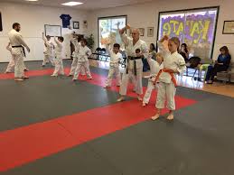 Image result for Soncho Karate Club