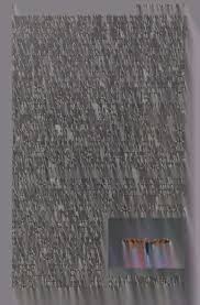 Attēlu rezultāti vaicājumam “Lacanobia contigua imago”