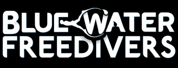 Image result for Blue Water Freediving School
