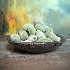 Image result for fresh green almonds