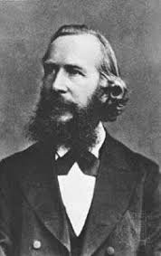 Image result for ernst haeckel