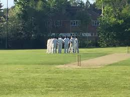 Image result for Chertsey Cricket Club
