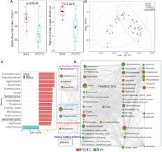 Image result for Cambridge N C I Cc