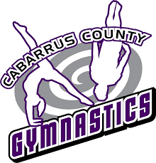 Image result for Concorde Gymnastics Club