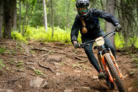 Image result for Abinger Forest Riding Club