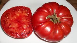 Afbeeldingsresultaat voor 1884 purple tomato