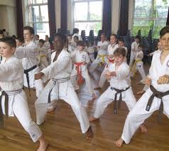 Image result for Levern Tora-Kai Karate Club