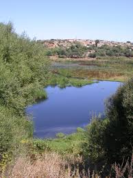 Lac de Réghaïa