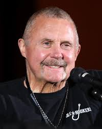 「エルム=L=レネゲイド」の画像検索結果