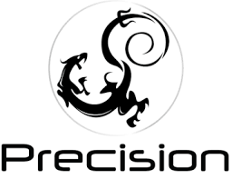 Image result for Precision Martial Arts