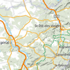 Attēlu rezultāti vaicājumam “Pohlia sphagnicola”