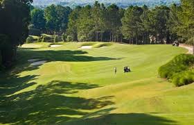 Image result for St Ives Cricket Club