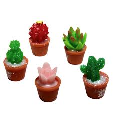 Image result for Mehikasvi