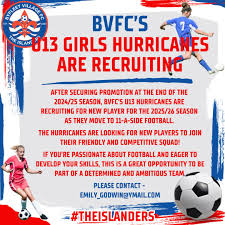 Image result for Byfleet Village Football Club