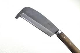 「海老塚刃」の画像検索結果