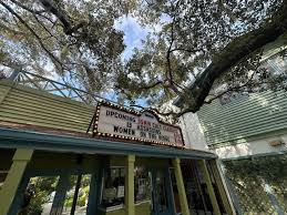 Image result for Enzian