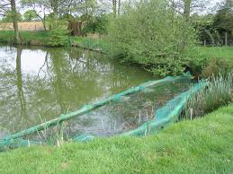 Image result for Bay Malton Angling Club