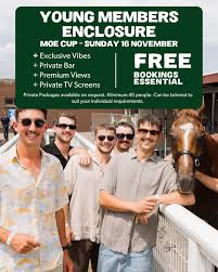 Image result for Thoroughbreds Netball Clubs