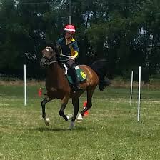 Image result for Thames Valley Riding Club