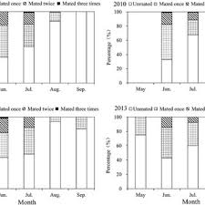 Attēlu rezultāti vaicājumam “Protoschinia scutosa”