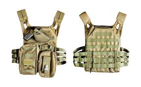 Image result for molle