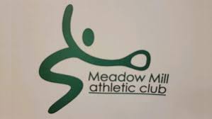 Image result for Meadow Sports Badminton Club