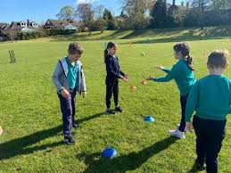 Image result for Bollington Cricket Club