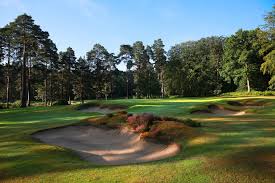 Image result for West Surrey Golf Club