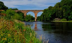 Image result for Empire Services Club