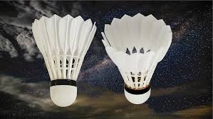 Image result for Feathers Badminton- Leatherhead