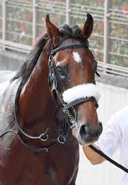 「早乙女かおり 極上!!めちゃモテ委員長」の画像検索結果