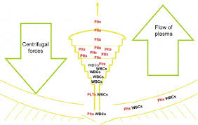 Image result for Autopheresis C