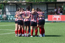 Image result for Cheltenham and County Harriers