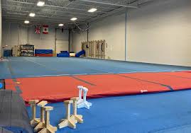 Image result for Abbey Gymnastics Club