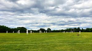 Image result for Runnymede Rascals Cricket Club