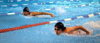 Image result for Teddington Swimming Club