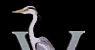 Image result for Fives and Heronians Cricket Club