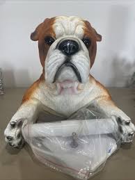 Image result for Banbury Bulldogs