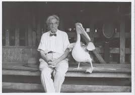 Image result for albert schweitzer