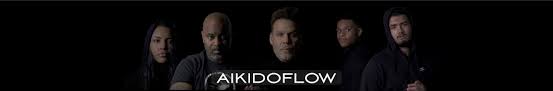Image result for AikidoFlow
