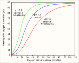 Image result for Pyle Octopush Club