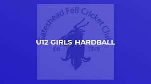 Image result for Gateshead Fell Cricket Club