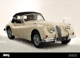 Image result for Old English White 1955 Jaguar