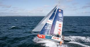 Image result for Pogo minitransat