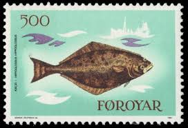 Image result for Hippoglossus hippoglossus