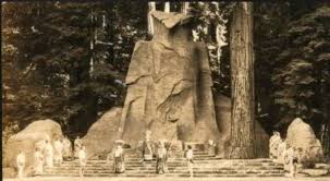 Image result for bohemian club