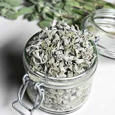 Image result for Oregano