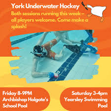 Image result for York Octopush Club